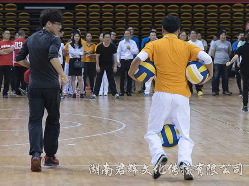 企鹅漫步