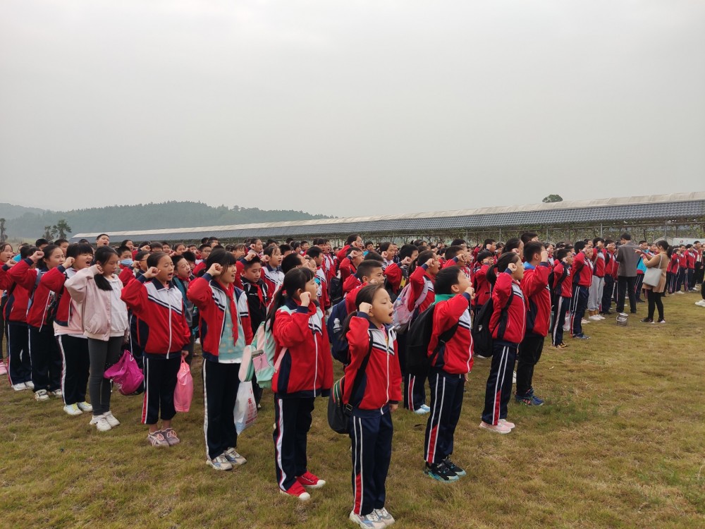 新干县实验小学“田园大课堂·秋收话丰年”彩虹谷劳动教育实践活动